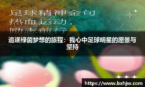 追逐绿茵梦想的旅程：我心中足球明星的愿景与坚持